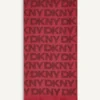 Pashmina metálica de DKNY